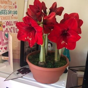 Meet your Posher, Crystal